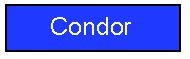 Condor Download Button